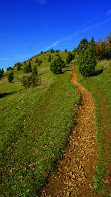 Hinauf zum Kalvarienberg