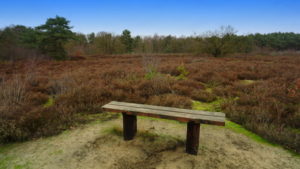 Mehr über den Artikel erfahren Tour 1051 – Niederlande – America – Die Peelse Heide Route