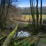 Im Felderbachtal