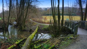 Mehr über den Artikel erfahren Tour 1053 – Velbert-Nierenhof – Entdeckerschleifen – Gustav-Heinemann-Weg