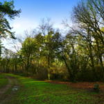 Tour 1054 – Niederlande – America – Wandern mit Hund