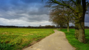 Mehr über den Artikel erfahren Tour 1063 – Tönisberg – IVV – Mühlenweg (8km)