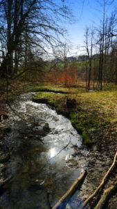 Mehr über den Artikel erfahren Tour 1068 – Wülfrath-Düssel – Düsseler Wald