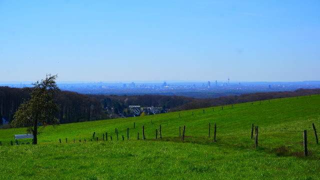 Genau in der Mitte der Kölner Dom