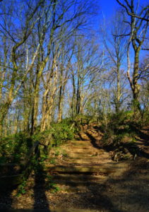 Mehr über den Artikel erfahren Tour 1072 – Alpen – Wanderungen durch den schönen Kreis Moers – Wanderung 34