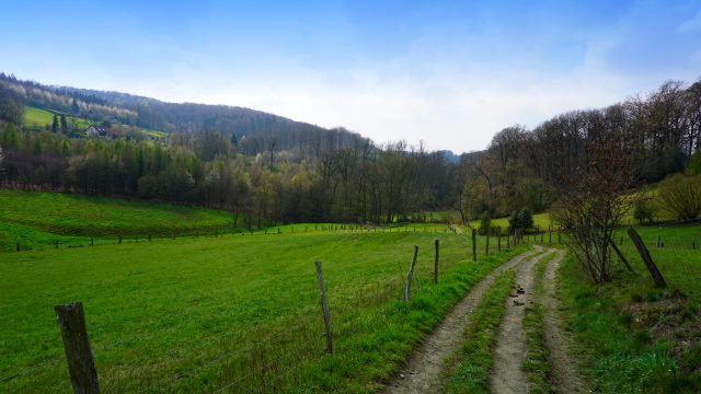 Fast wie im Allgäu - der Blick ins Elbschbachtal