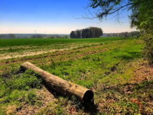 Mehr über den Artikel erfahren Tour 1075 – Haltern am See – Holtwick – Mit dem A4 um Holtwick