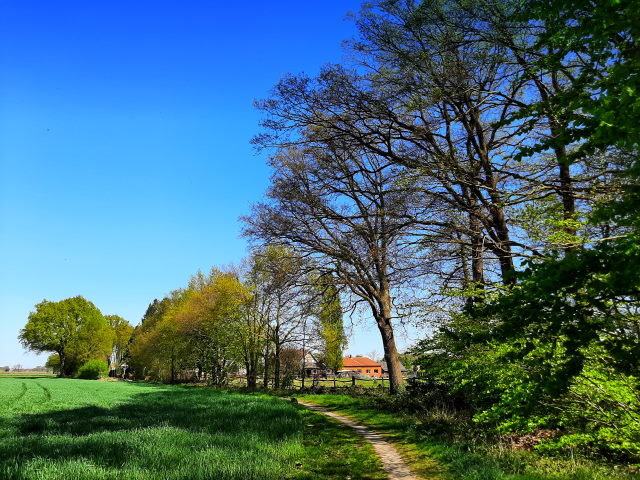 Münsterlandschaft