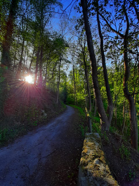 Auf dem Anna-Linder-Weg