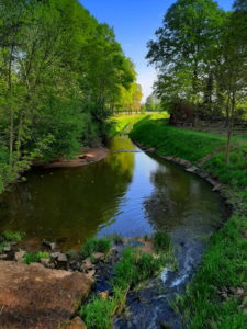 Mehr über den Artikel erfahren Tour 1081 – Hünxe – Auf dem A1 durch Wald und Feld