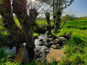 Mehr über den Artikel erfahren Tour 1082 – Mettmann-Metzkausen – Mit weiten Ausblicken an den Krumbach