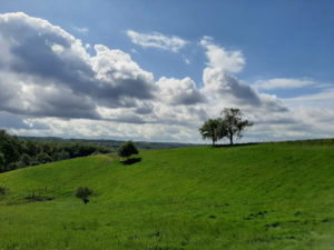 Mehr über den Artikel erfahren Tour 1083 – Wülfrath-Düssel – Düsseler Wald, Gut Holz und die Kölnische Straße