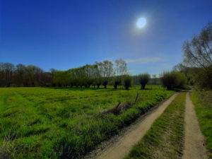 Mehr über den Artikel erfahren Tour 1085 – Krefeld – Cross auf dem Hülser-, Inrather- und Kapuzinerberg