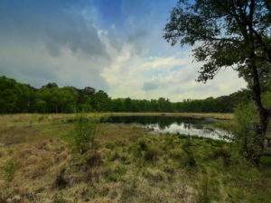 Mehr über den Artikel erfahren Tour 1092 – Gescher – Durch die Fürstenkuhle