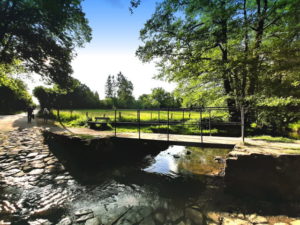 Mehr über den Artikel erfahren Tour 1099 – Wülfrath-Düssel – Düsseler Furth und Feld