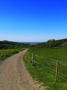 Mehr über den Artikel erfahren Tour 1100 – Königswinter – Rund um den großen Ölberg
