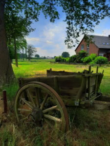 Mehr über den Artikel erfahren Tour 1101 – Hamminkeln-Marienthal – Kinder-Natur-Lehrpfad