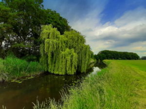 Mehr über den Artikel erfahren Tour 1103 – Hamminkeln-Marienthal – Isselweg