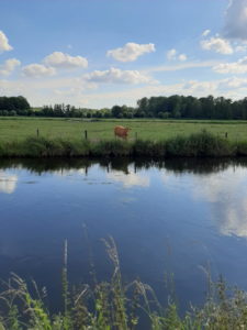 Mehr über den Artikel erfahren Tour 1104 – Wachtendonk – Erlebnisweg Nord