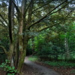 Tour 1106 – Emmerich-Hochelten – Auf dem Barfuß- und Naturerlebnispfad