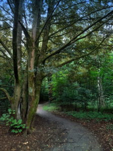 Mehr über den Artikel erfahren Tour 1106 – Emmerich-Hochelten – Auf dem Barfuß- und Naturerlebnispfad