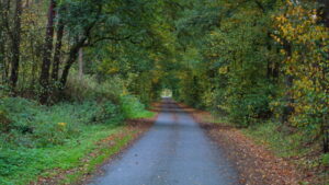Mehr über den Artikel erfahren Tour 1113 – Dorsten – Rhade – Mit dem A2 durch Feld, Wald und Stadt