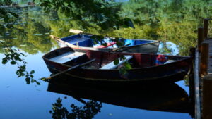 Mehr über den Artikel erfahren Tour 1115 – Neukirchen-Vluyn –  In den Staatsforst Littard