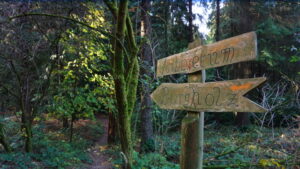 Mehr über den Artikel erfahren Tour 1130  – Wupperweg – Etappe 8/12 – Von der Grenze Elberfeld und Cronenberg nach Solingen