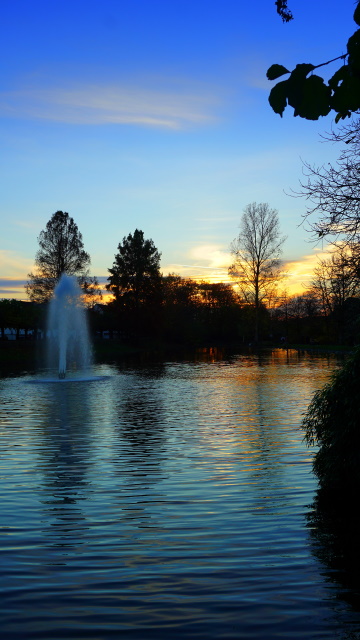 Im Ludwig-Rehbock Park