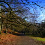 Tour 1140 – Haltern am See-Flaesheim – Auf dem A3 um die Westruper Heide