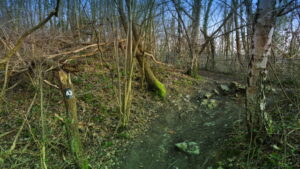 Mehr über den Artikel erfahren Tour 1156 – Haan-Gruiten – Unterwegs auf dem A3