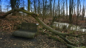 Mehr über den Artikel erfahren Tour 1157 – Nordkirchen – Der Eichenblatt-Rundweg