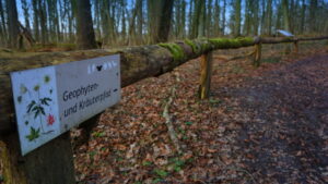 Mehr über den Artikel erfahren Tour 1158 – Nordkirchen – Der Kaisermantel-Rundweg