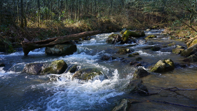 Die wilde Düssel