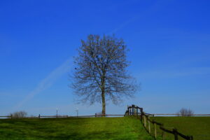 Mehr über den Artikel erfahren Tour 1162 – Pulheim-Stommeln – Mit dem S3 durch die Felder