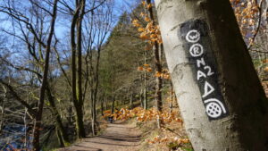 Mehr über den Artikel erfahren Tour 1163 – Remscheid – Auf dem RS1 ins Gelpetal