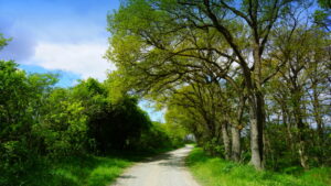 Mehr über den Artikel erfahren Tour 1167 – Neukirchen-Vluyn – Auf dem Jubiläumsweg um Neukirchen-Vluyn 1/3