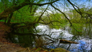 Mehr über den Artikel erfahren Tour 1168 – Neukirchen-Vluyn – Auf dem Jubiläumsweg um Neukirchen-Vluyn 2/3