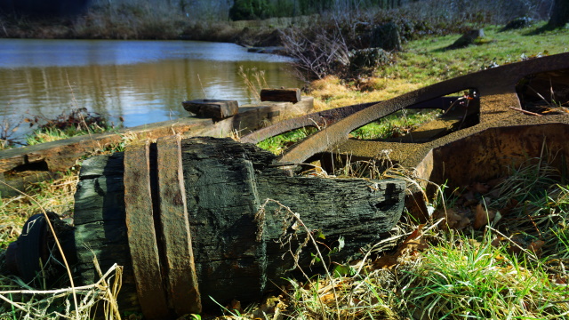 Fundstück am Mühlenteich