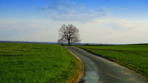 Mehr über den Artikel erfahren Tour 1177 – Sonsbeck – Die Hügeltour