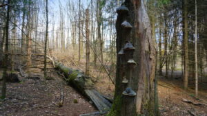 Mehr über den Artikel erfahren Tour 1178 – Wuppertal-Ronsdorf – W2 Ronsdorfer Talsperre