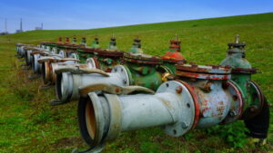 Mehr über den Artikel erfahren Tour 1181 – Rheinberg – Hasenpfad und Pilgerspuren