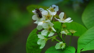 Mehr über den Artikel erfahren Tour 1188 – Hünxe-Bucholtwelmen – Die Testerberge-Tour
