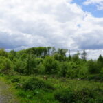 Die Moitzfelder Höhen