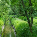 Tour 1195 – Wegberg – Wanderroute Ophover Mühle
