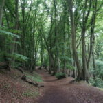 Tour 1196 – Wegberg – Wanderroute Molzmühle