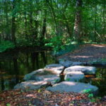 Tour 1200 – Wegberg-Rickelrath – Wegberger Naturwaldschleife