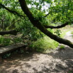Tour 1201 – Schermbeck – Wald- und Heide-Tour
