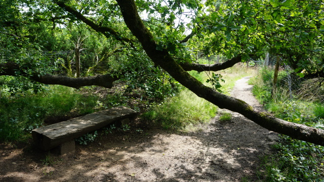 Zur Ruhe kommen in der Wacholderheide