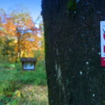 Tour 1211 – Wegberg – Holtmühlen-Pfad